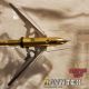 MECHANICAL 2 BLADE, 100 GRAIN BROADHEAD, 3 PACK